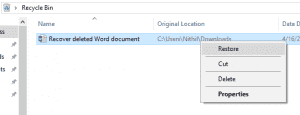 recover deleted word document from recycle bin