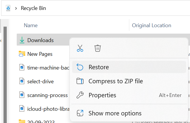 recover the deleted downloads folder from the windows recycle bin